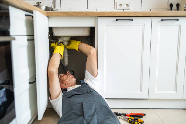 Best Plumbing Services Near Me  in Pleasant Valley, WV